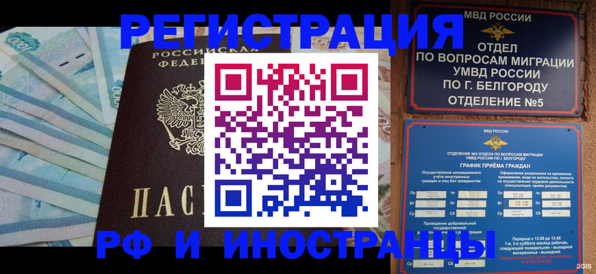 временная регистрация недорого в Мончегорске